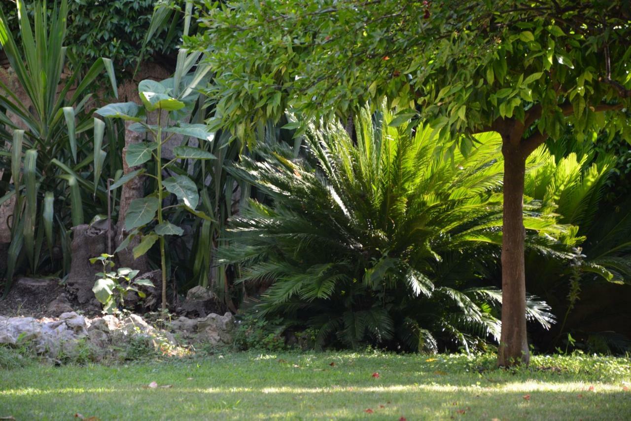 Les Passiflores Grasse Exterior foto